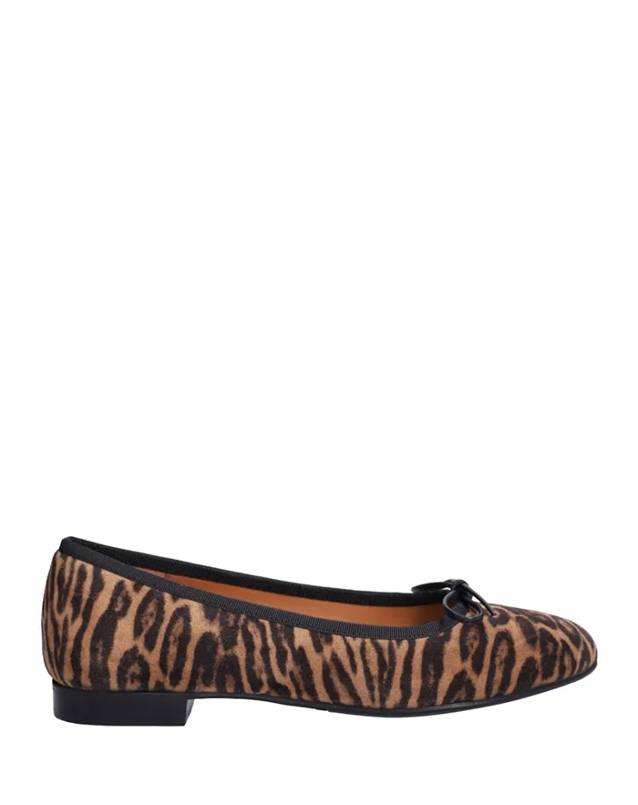 Leopardo Arabica Suede Ballerina - Billi Bi - byKalstrup.dk
